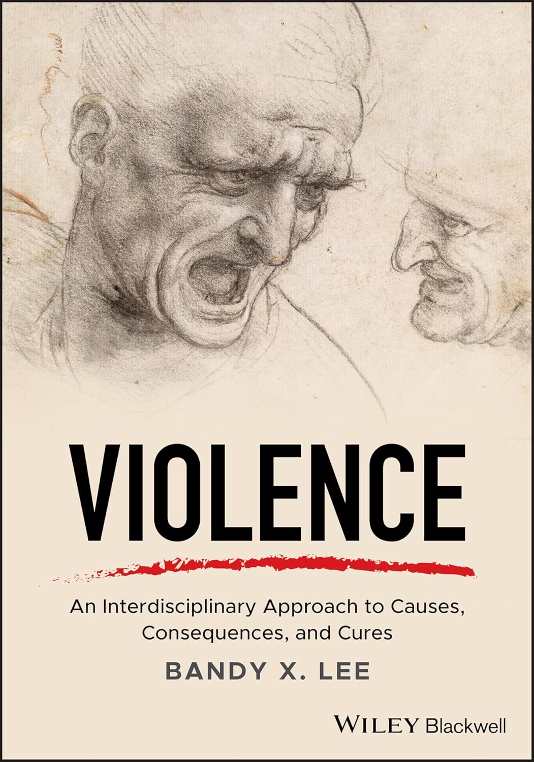 Violence: An Interdisciplinary Approach to Causes, Consequences, and Cures cover