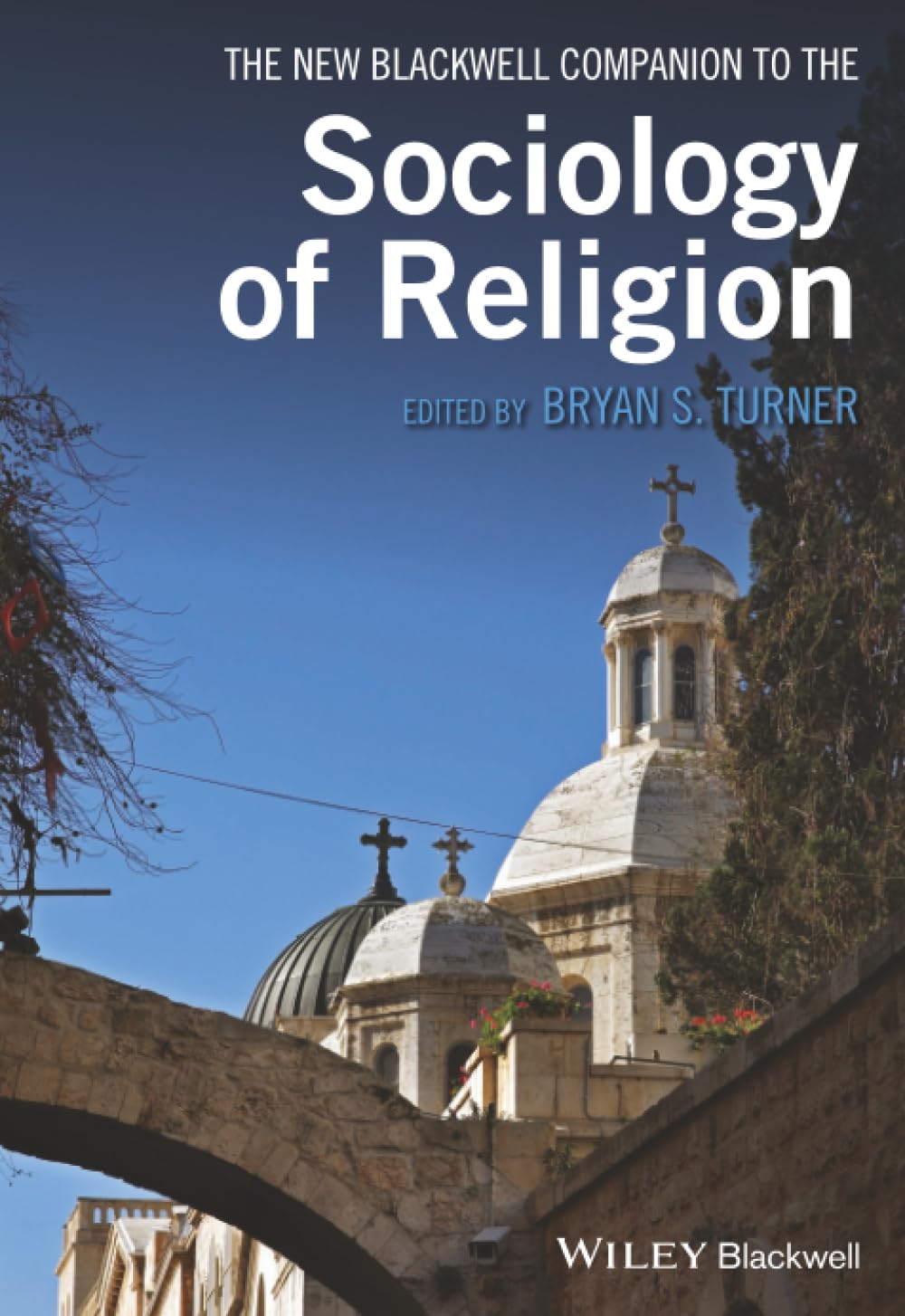 Wiley Blackwell Companions to Sociology cover