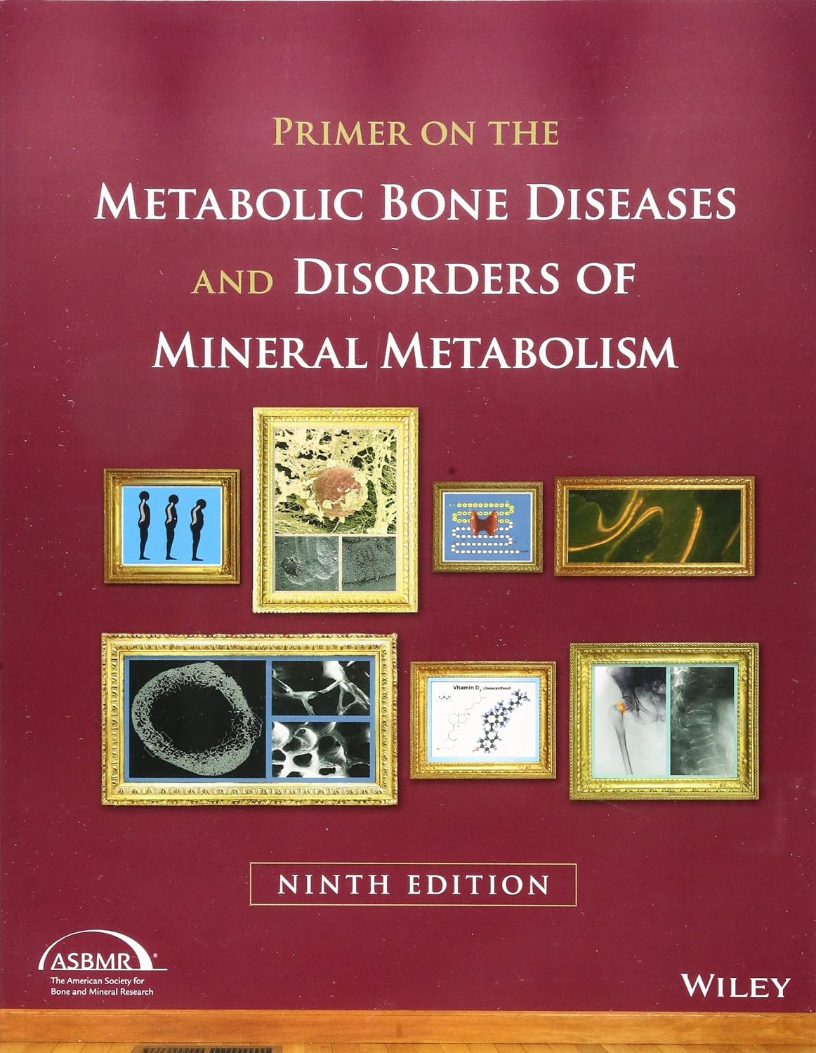 Primer on the Metabolic Bone Diseases and Disorders of Mineral Metabolism cover