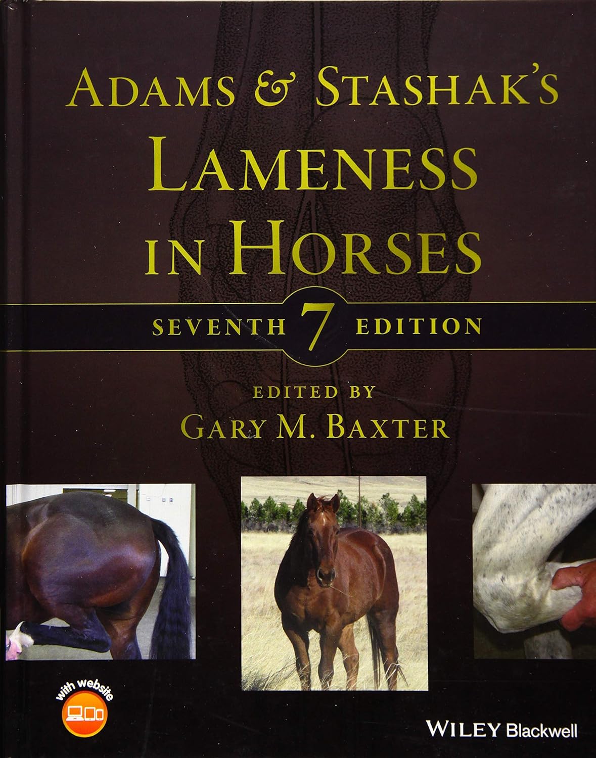 Adams and Stashak's Lameness in Horses cover