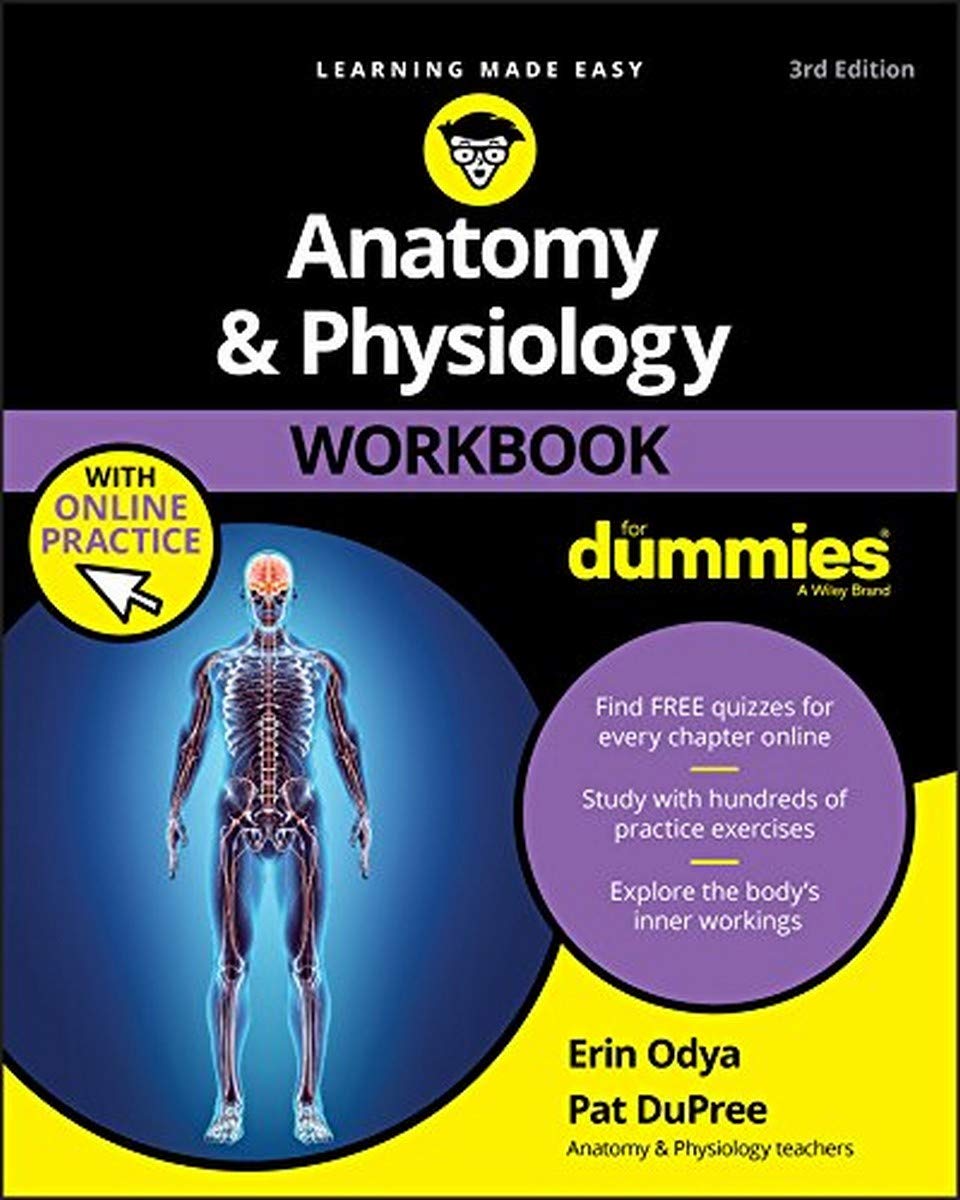 Anatomy & Physiology Workbook For Dummies with Online Practice cover
