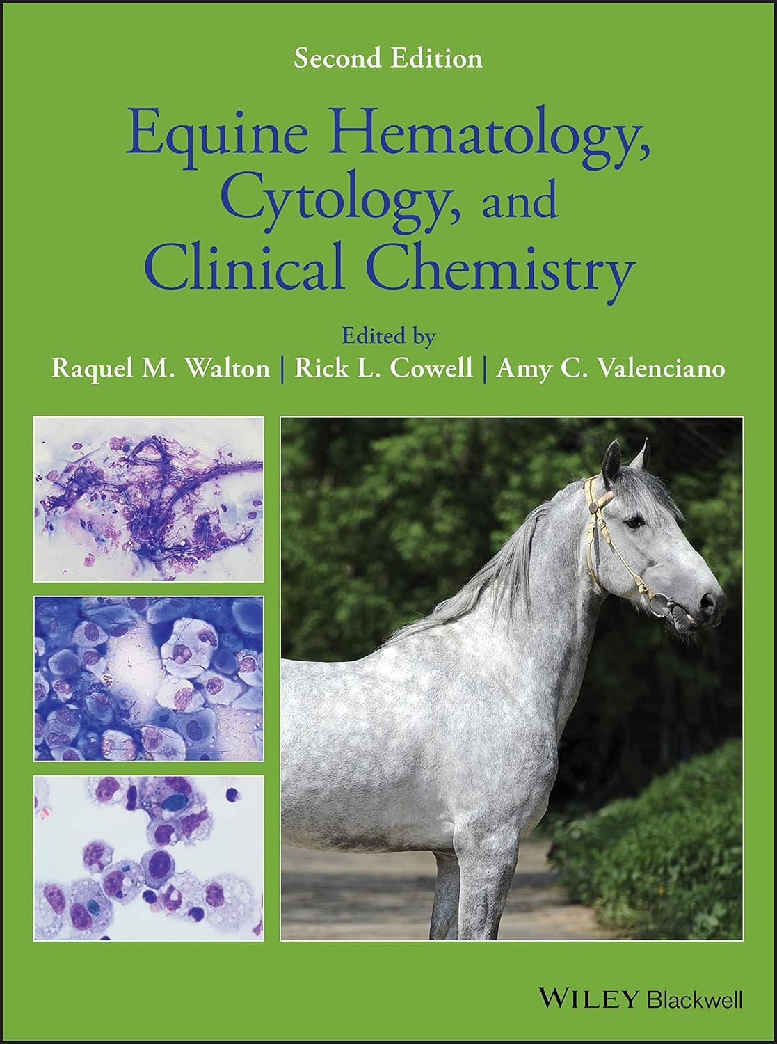 Equine Hematology, Cytology, and Clinical Chemistry cover
