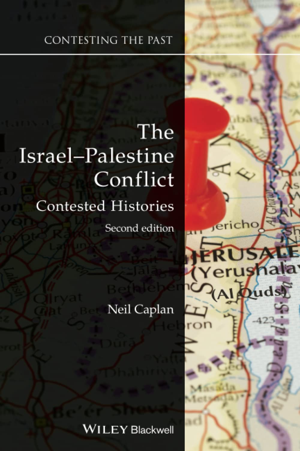 Contesting the Past cover