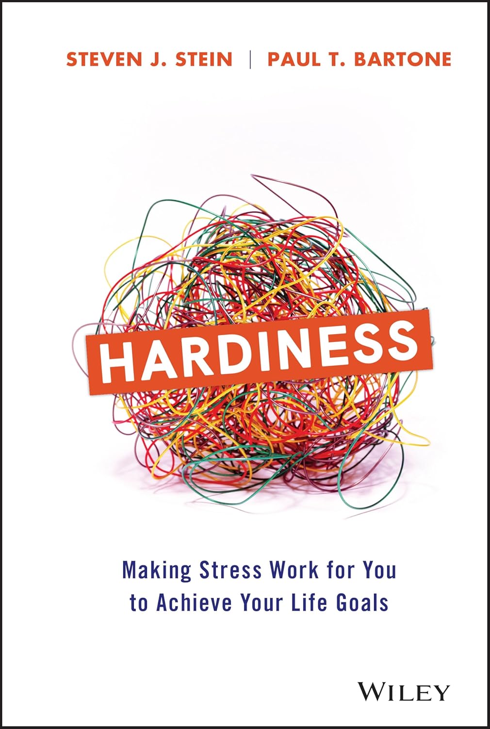 Hardiness: Making Stress Work for You to Achieve Your Life Goals cover
