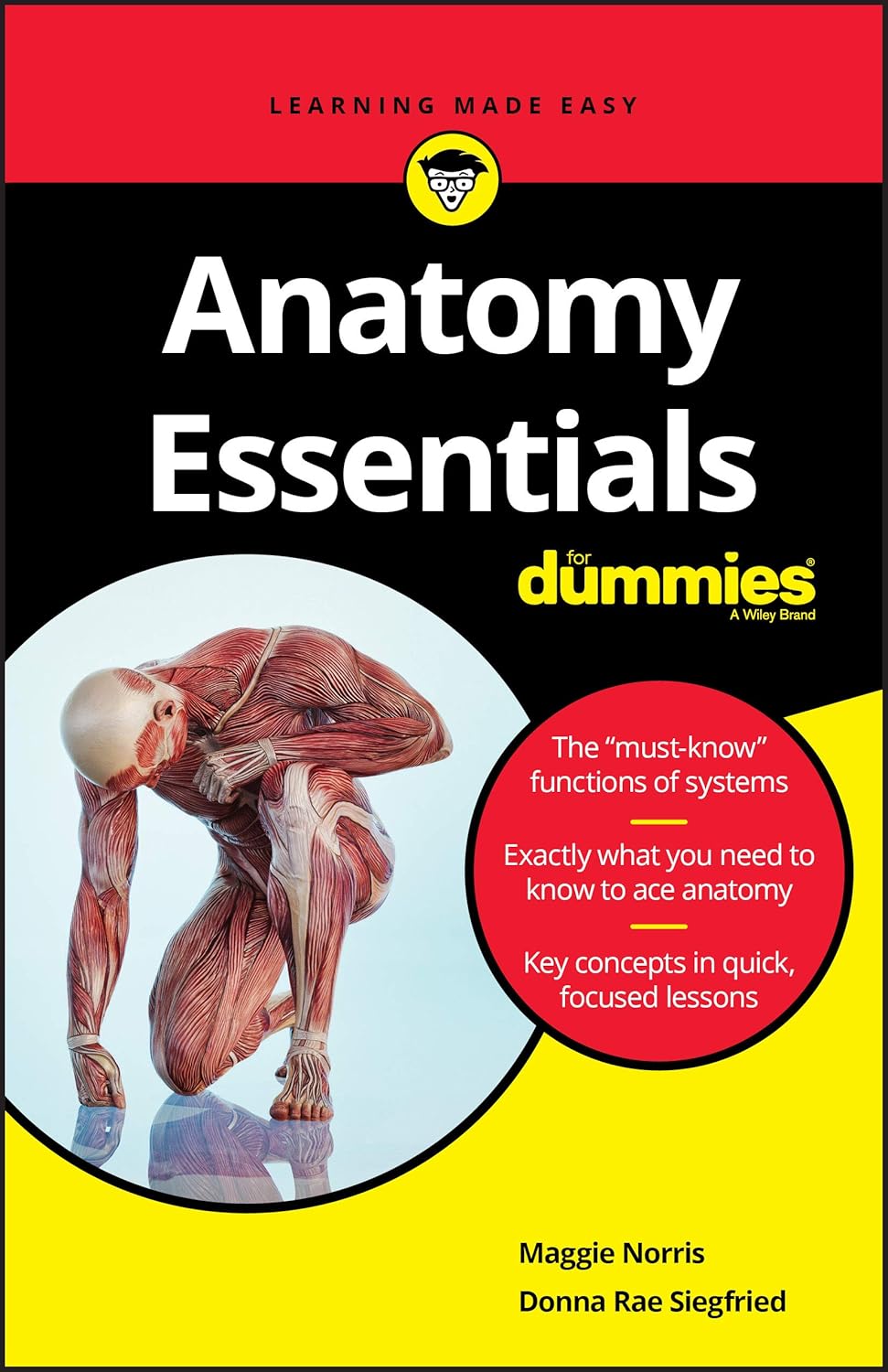 Anatomy Essentials For Dummies cover