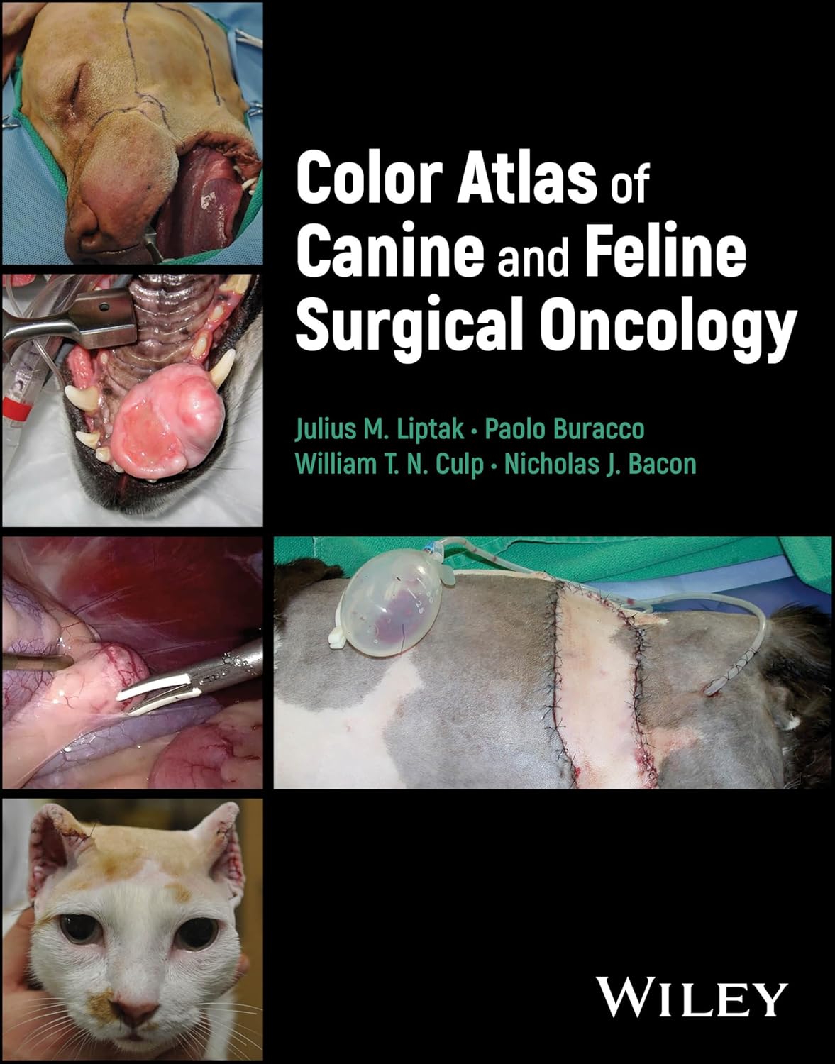 Color Atlas of Canine and Feline Surgical Oncology cover