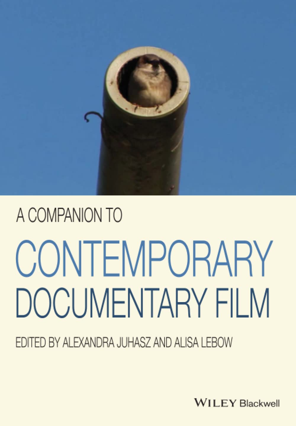 A Companion to Contemporary Documentary Film cover