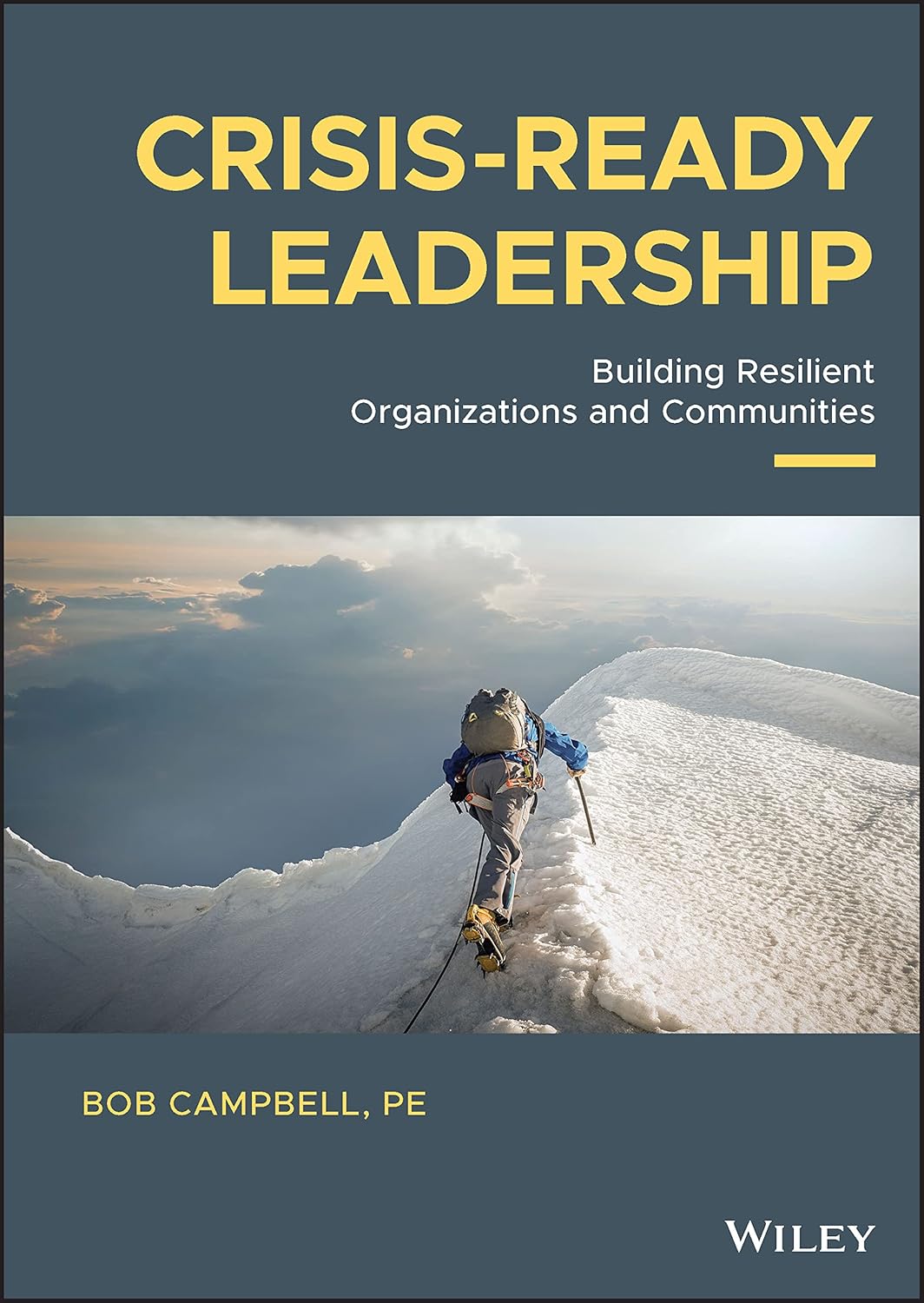 Crisis-ready Leadership: Building Resilient Organizations and Communities cover