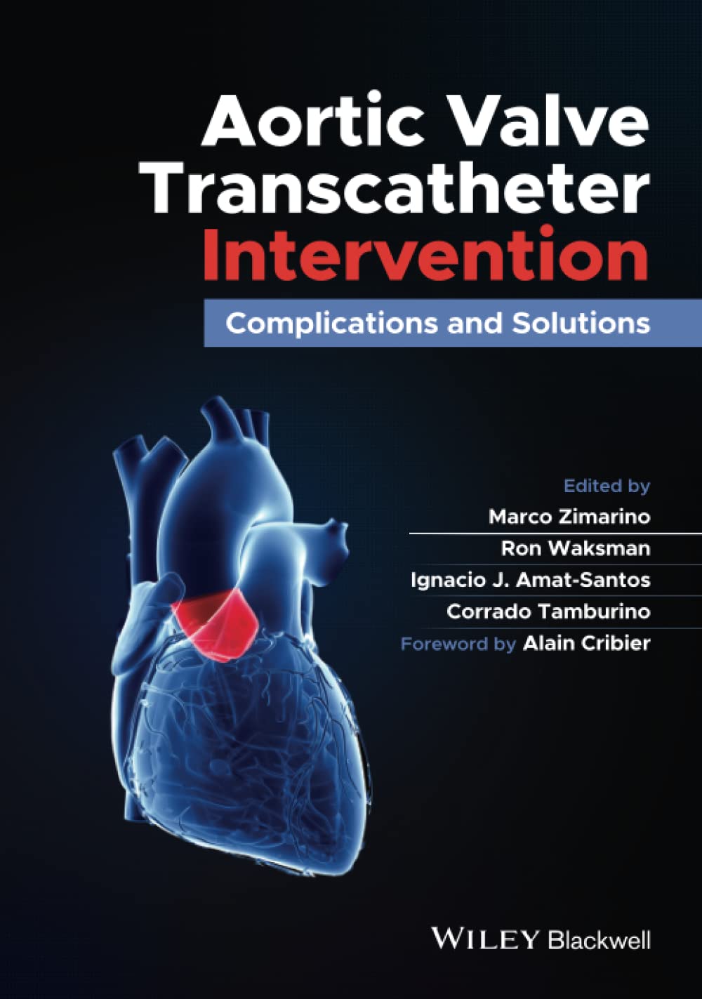 Aortic Valve Transcatheter Intervention: Complications and Solutions cover