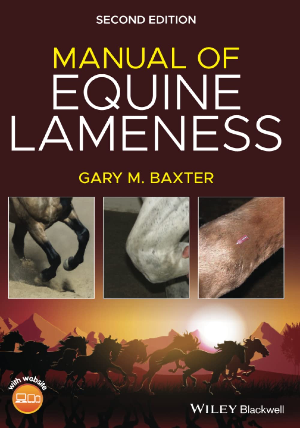 Manual of Equine Lameness cover
