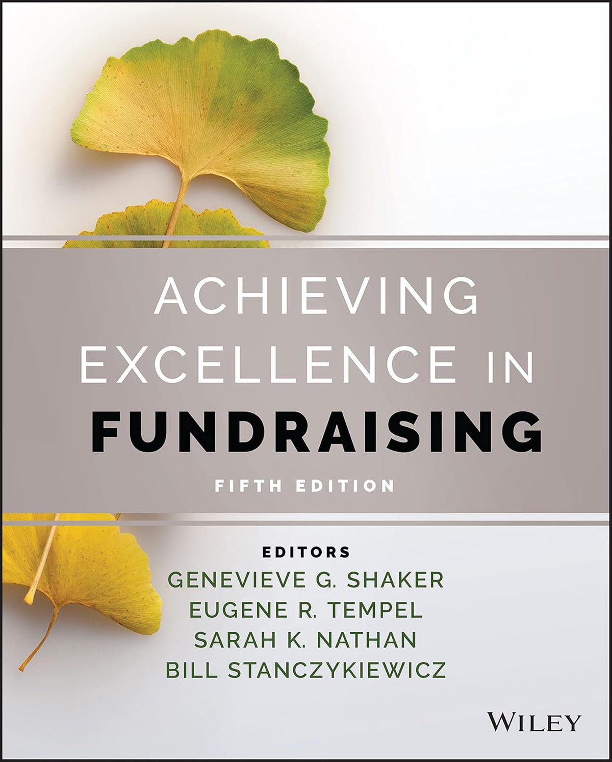 Achieving Excellence in Fundraising cover