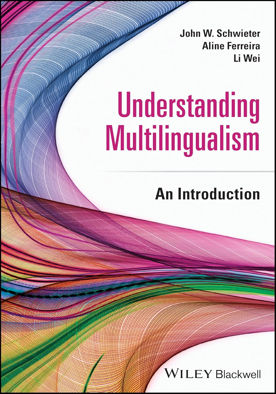 Understanding Multilingualism: An Introduction cover