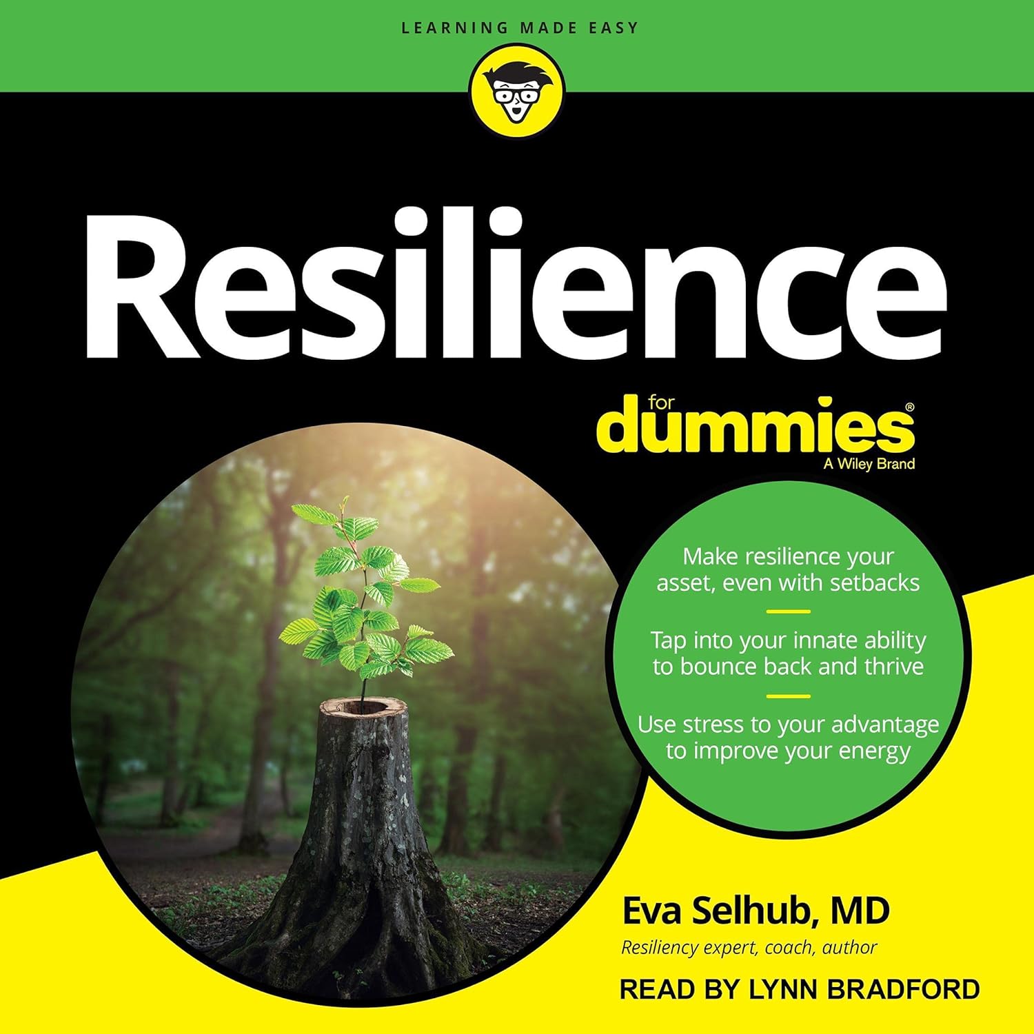 Resilience For Dummies cover