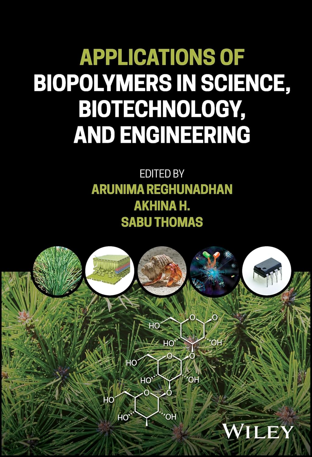 Applications of Biopolymers in Science, Biotechnology, and Engineering cover