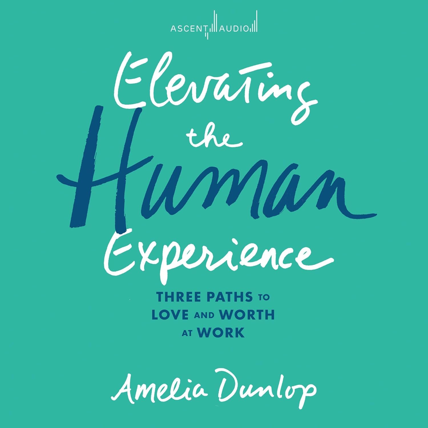Elevating the Human Experience: Three Paths to Love and Worth at Work cover
