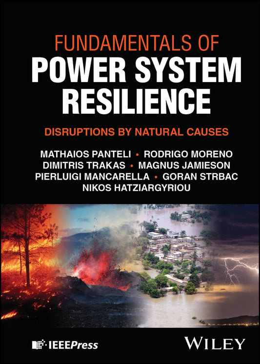 Fundamentals of Power System Resilience: Disruptions by Natural Causes cover