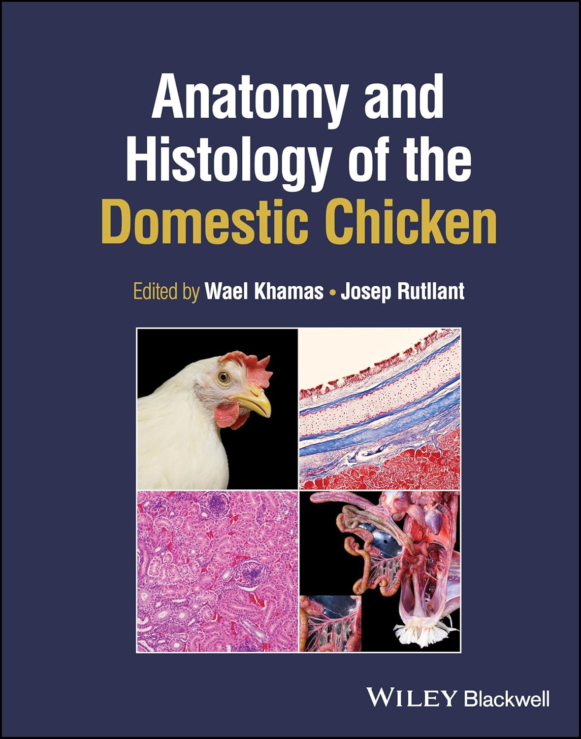 Anatomy and Histology of the Domestic Chicken cover