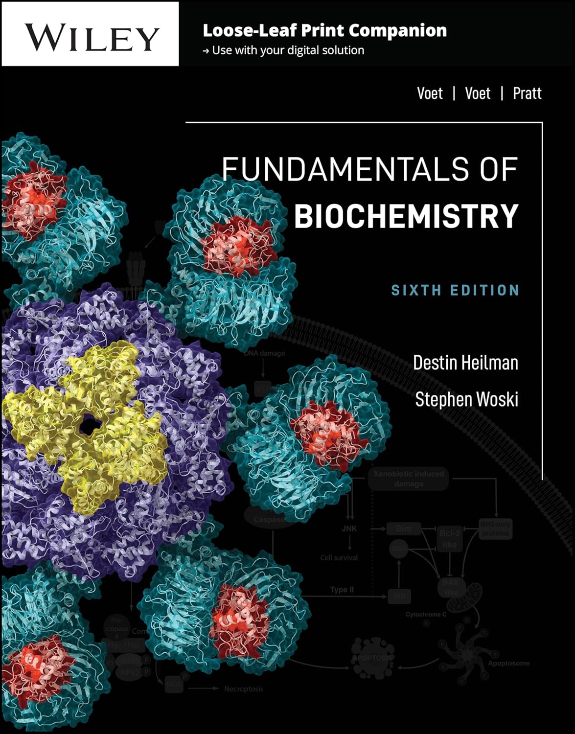 Fundamentals of Biochemistry cover