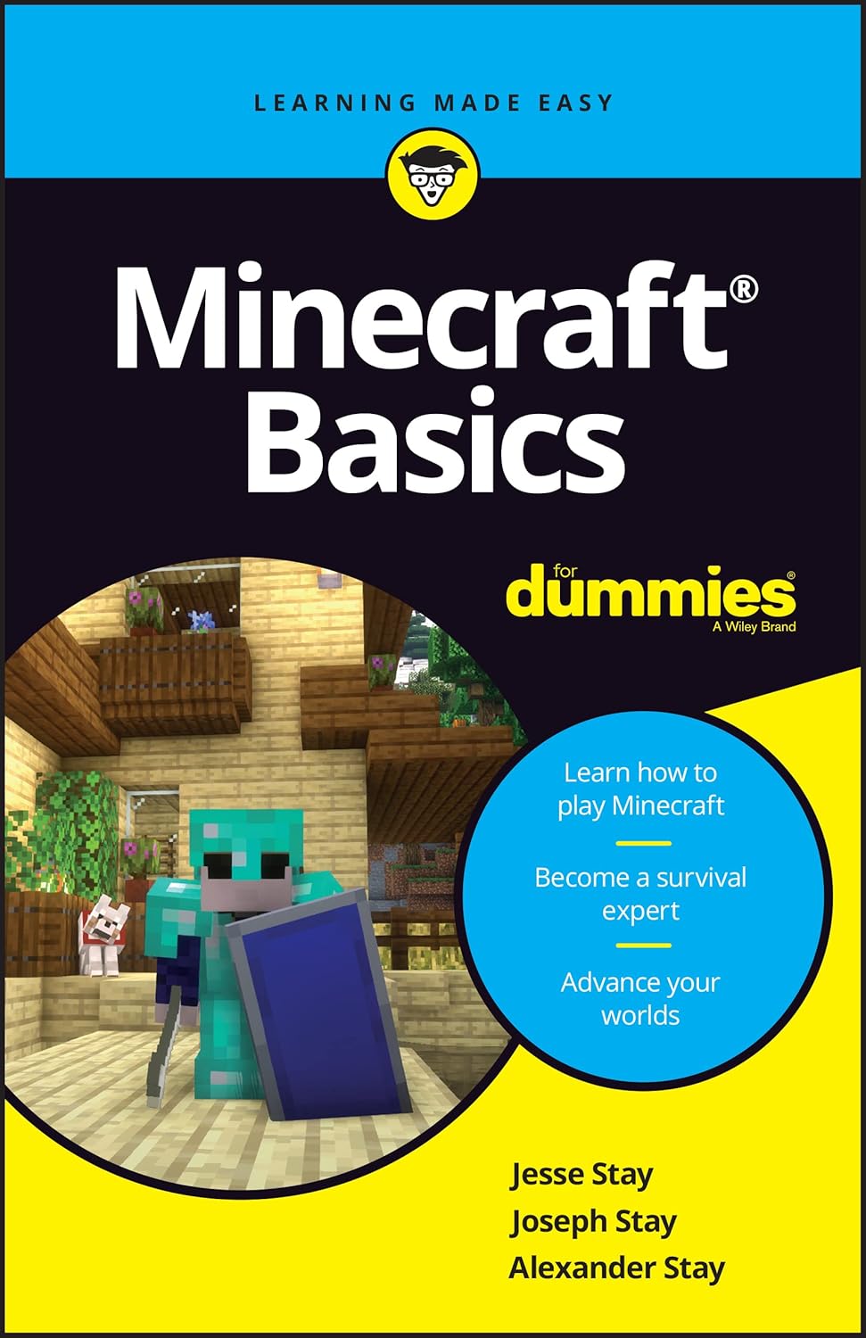 Minecraft Basics For Dummies cover