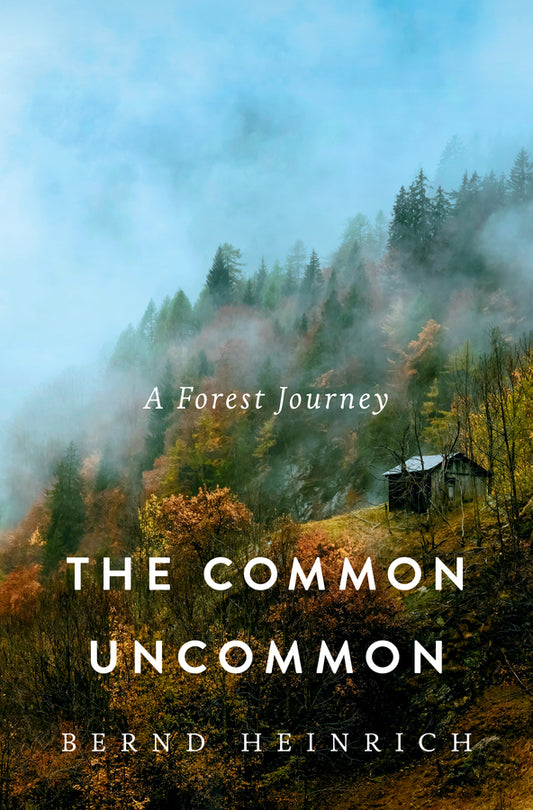 The Common Uncommon: A Forest Journey cover