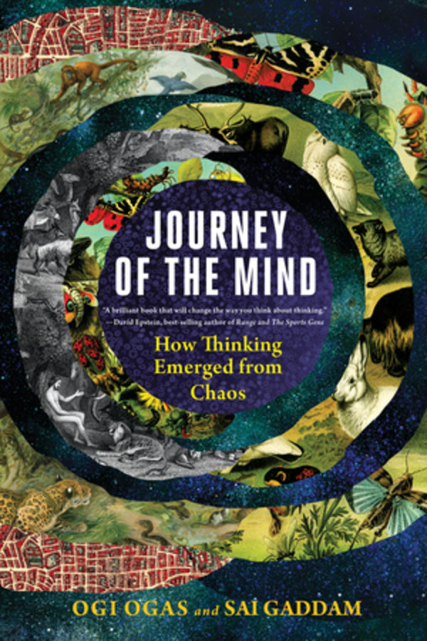 Journey of the Mind: How Thinking Emerged from Chaos cover