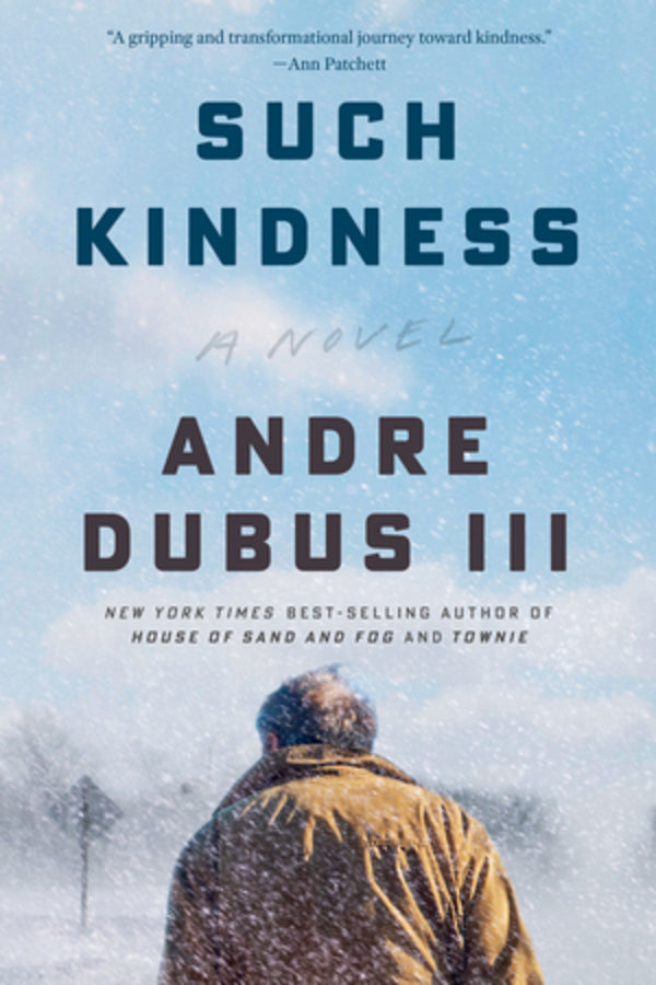 Such Kindness: A Novel cover
