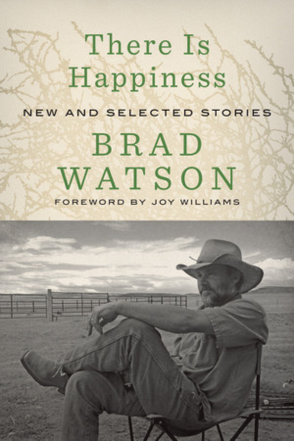 There Is Happiness: New and Selected Stories cover