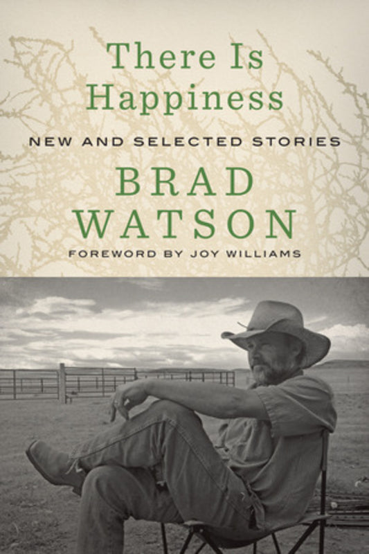 There Is Happiness: New and Selected Stories cover