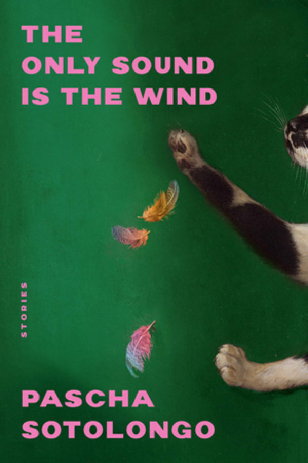 The Only Sound Is the Wind: Stories cover