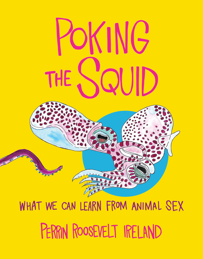 Poking the Squid: What We Can Learn from Animal Sex cover