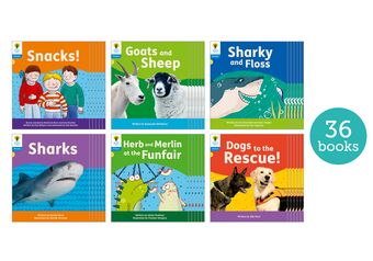 Floppy Phonics Decoding Practice L3 Class Pack 36 book cover