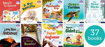 Essential Letters & Sounds: Essential Phonic Readers: OL 1-7 Review Singles Pk book cover