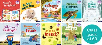 Essential Letters & Sounds: Essential Phonic Readers: OL 4-5 Class Pack of 60 book cover