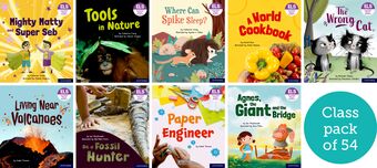 Essential Letters & Sounds: Essential Phonic Readers: OL 6 Class Pack of 54 book cover