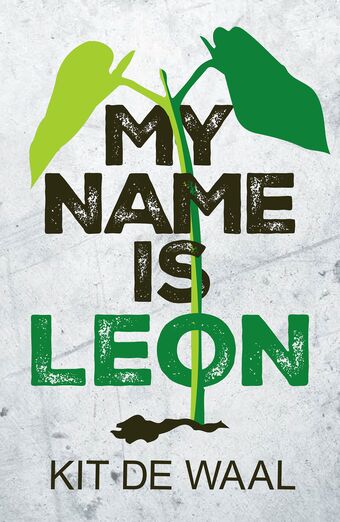 Rollercoasters: My Name is Leon book cover