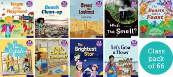 ELS: More Phase 5 Essential Phonic Readers: OL 5 Class Pack of 66 book cover