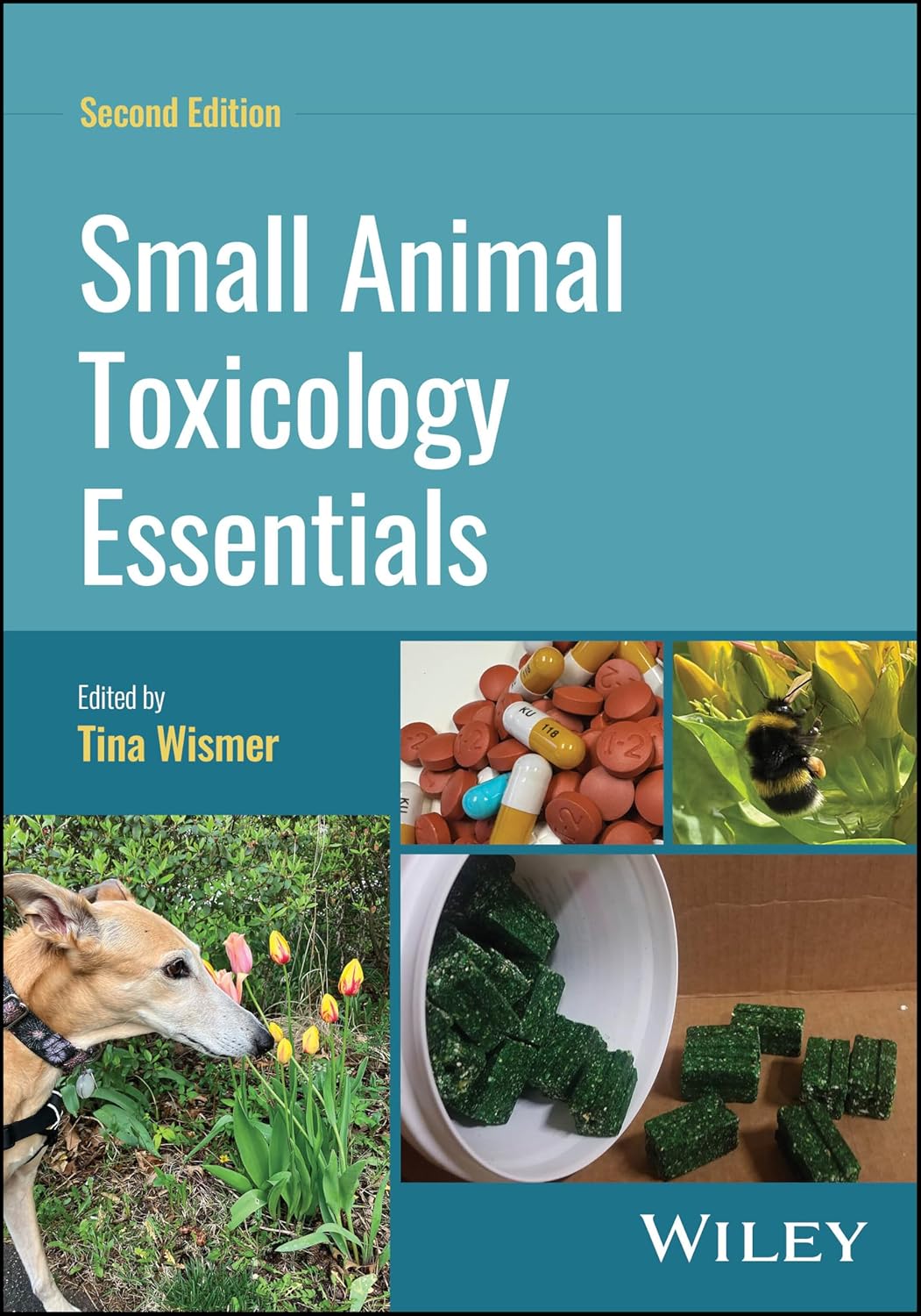 Small Animal Toxicology Essentials cover