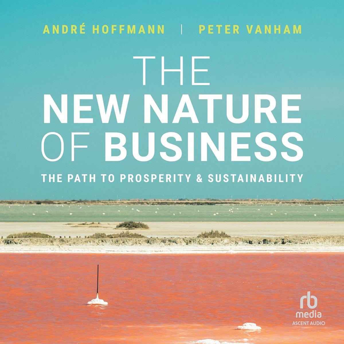 The New Nature of Business: The Path to Prosperity & Sustainability cover