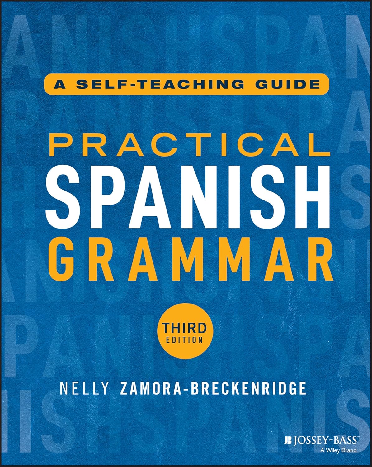 Practical Spanish Grammar: A Self-Teaching Guide cover