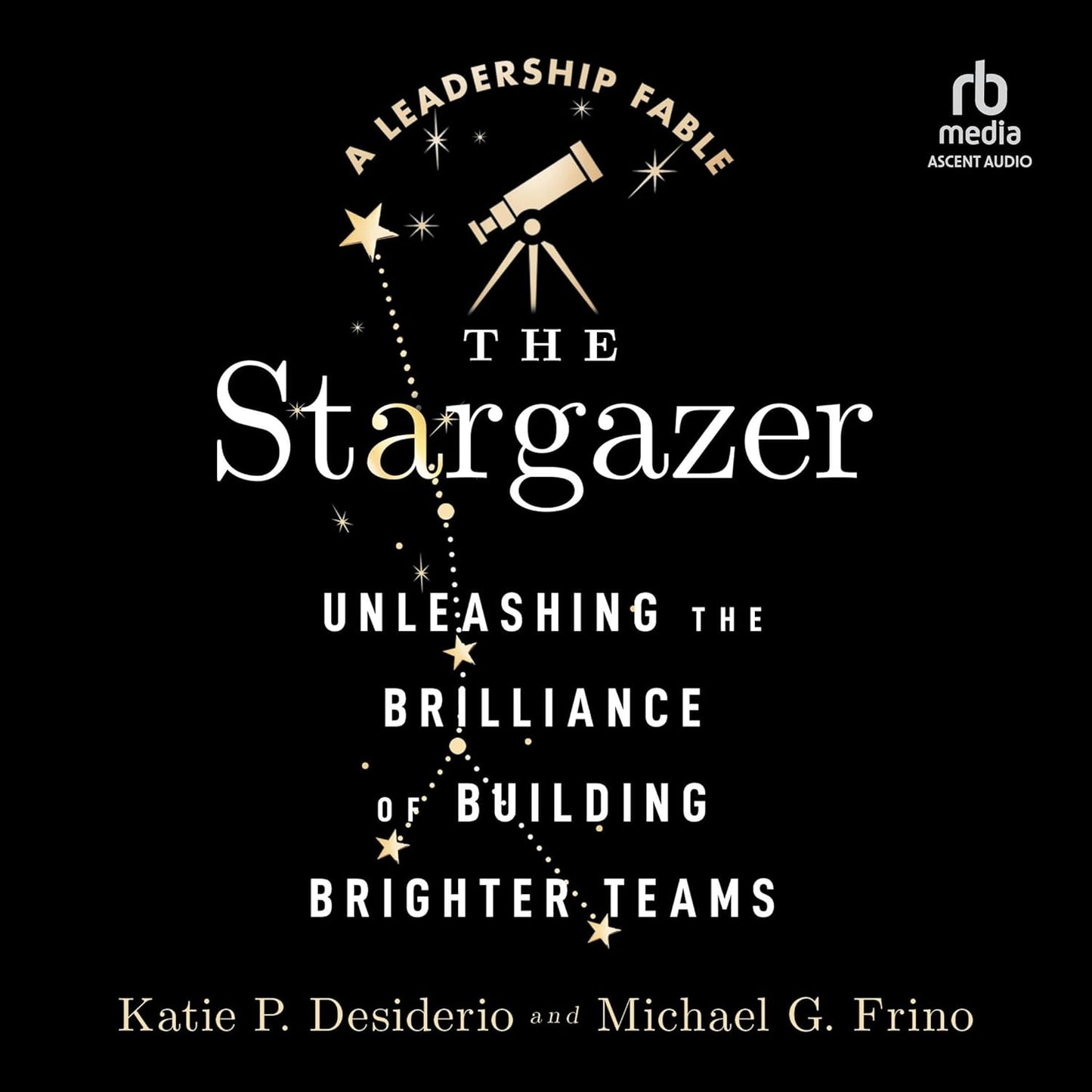 The Stargazer: Unleashing the Brilliance of Building Brighter Teams cover