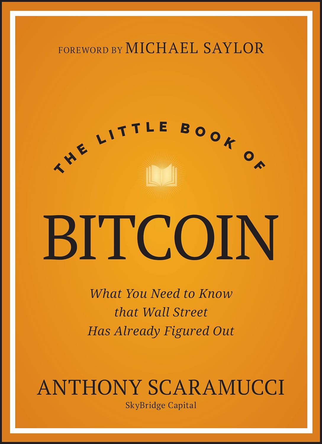 The Little Book of Bitcoin: What You Need to Know that Wall Street Has Already Figured Out cover