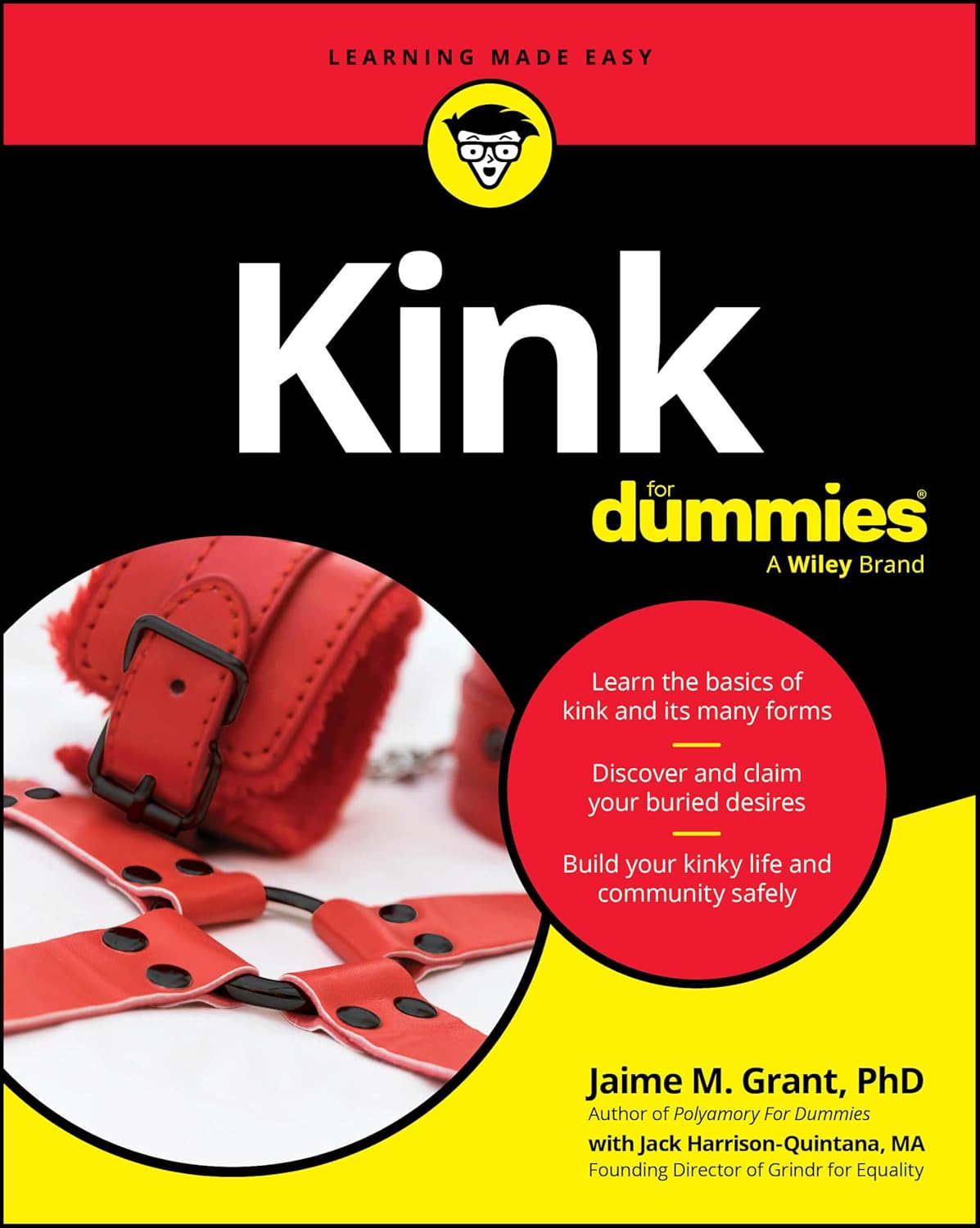 Kink For Dummies cover