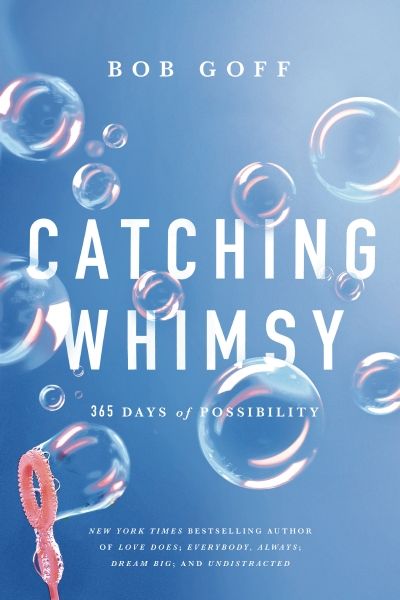 Catching Whimsy: 365 Days Of Possibility