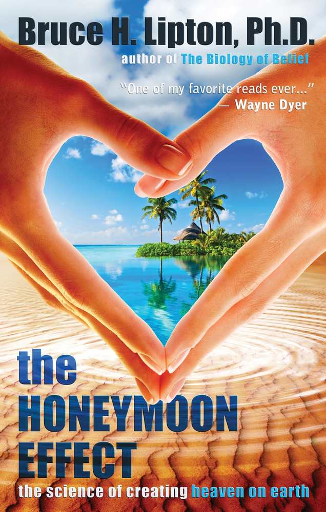 The Honeymoon Effect: The Science of Creating Heaven on Earth book cover