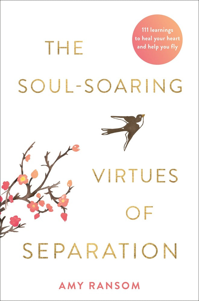 The Soul-Souring Virtues of Separation book cover