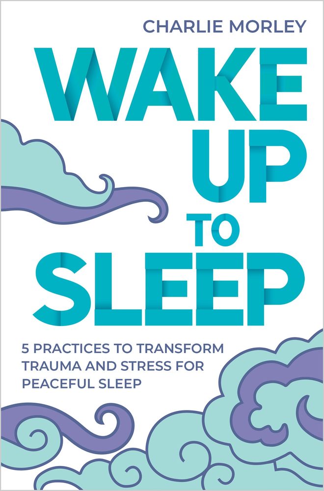 Wake Up To Sleep book cover