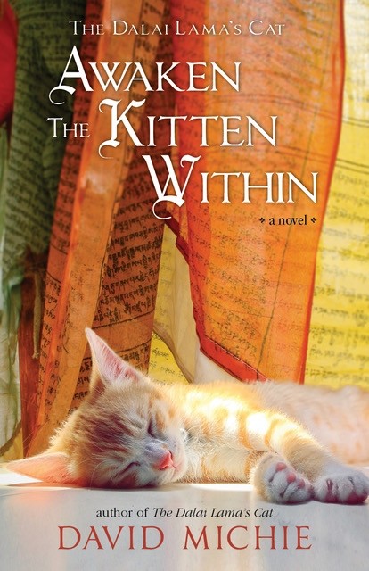 The Dalai Lama's Cat: Awaken the Kitten Within book cover