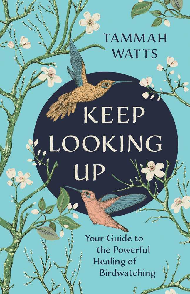 Keep Looking Up book cover