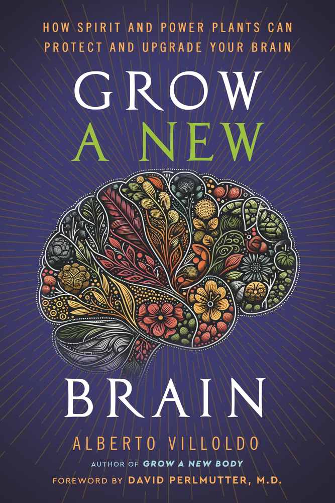 Grow A New Brain book cover