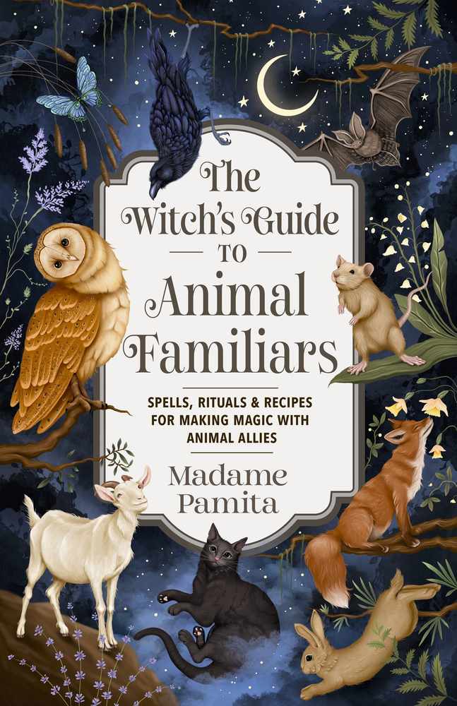 The Witch's Guide to Animal Familiars book cover
